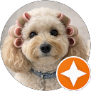 Seva Apotsos profile picture