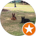 Nick Hall profile picture