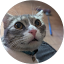 Dalvin Thomas profile picture